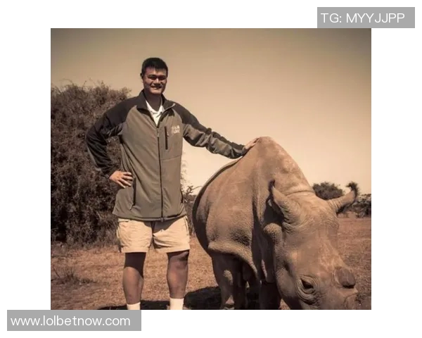 鲨鱼发声呼吁姚明共同推动篮球发展与海洋保护事业